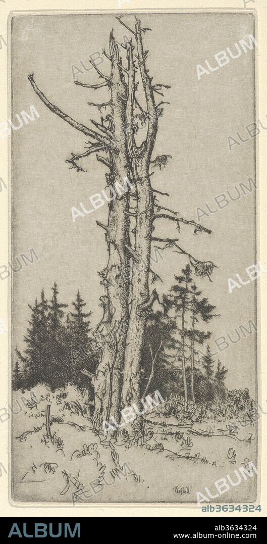 Dead Sisters. Artist: Ernest Haskell (American, Woodstock, Connecticut 1876-1925 West Point, Maine). Dimensions: Sheet (Trimmed): 4 15/16 × 2 9/16 in. (12.5 × 6.5 cm). Date: 1900-1925.