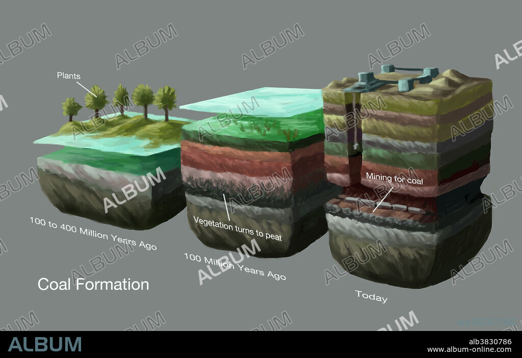 Coal Formation