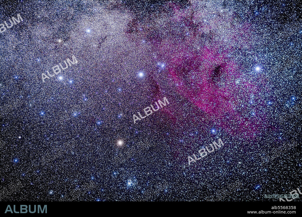 The asterism of the False Cross in Vela and Carina, at left, with Gamma Velorum, a bright blue supergiant star, at right. In between are faint arcs of nebulosity in the Gum Nebula. To the left of Gamma Velorum is the open star clister NGC 2547. Below the bottom star of the False Cross, Epsilon Carinae or Avior, is the large naked-eye star cluster NGC 2516. To the right of the right star of the False Cross, Delta Velorum, is the loose open cluster IC 2391.