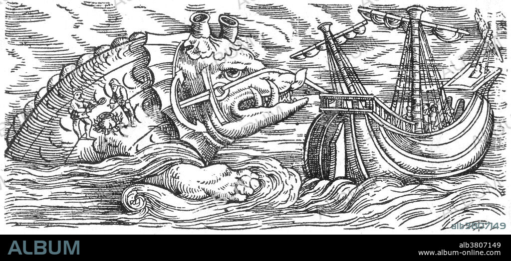 According to the tradition of the Physiologus and medieval bestiaries, the aspidochelone is a fabled sea creature. "It is a great whale, that has what appear to be beaches on its hide, like those from the seashore. This creature raises its back above the waves of the sea, so that sailors believe that it is just an island, so that when they see it, it appears to them to be a sandy beach such as is common along the sea-shore. Believing it to be an island, they beach their ship alongside it, and disembarking, they plant stakes and tie up the ships. Then, in order to cook a meal after this work, they make fires on the sand as if on land. But when the monster feels the heat of these fires, it immediately submerges into the water, and pulls the ship into the depths of the sea." It has also been credited as a Trolual and appeared in Genser's great zoological work, Historiae animalium, 16th century, inspired by the Carta Marina of Olaus Magnus. A trolual was a sea monster found in ancient stories of sailors and fishermen in the Norwegian Sea (Iceland and the Faroe Islands .