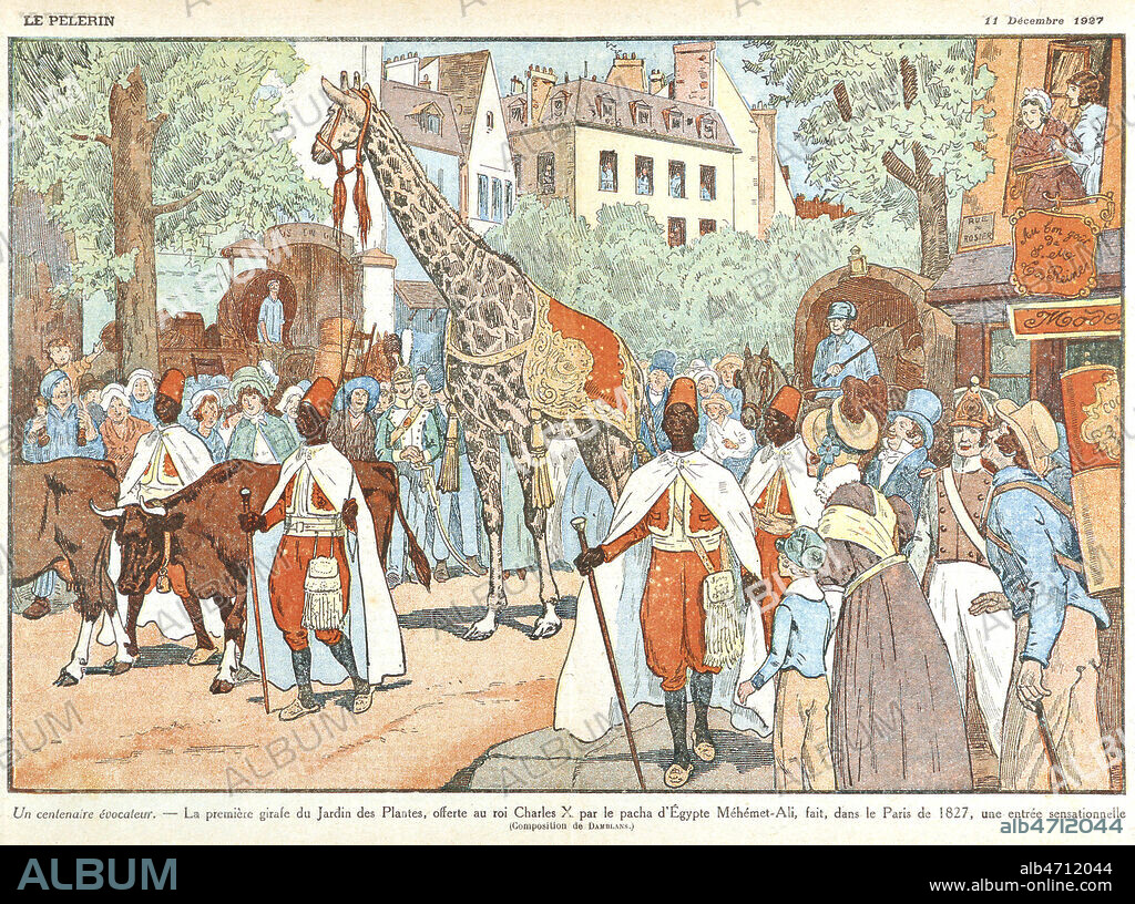 Un centenaire evocateur. Zarafa, la premiere girafe du Jardin des Plantes offerte a CHARLES X (1757-1836), par le pacha d'Egypte MEHEMET-ALI (1769-1849), fait, dans le Paris de 1827, une entree sensationnelle. Illustration d'Eugene DAMBLANS (1865-1945) pour Le Pelerin du 11/12/1927. Credit : Collection KHARBINE-TAPABOR.