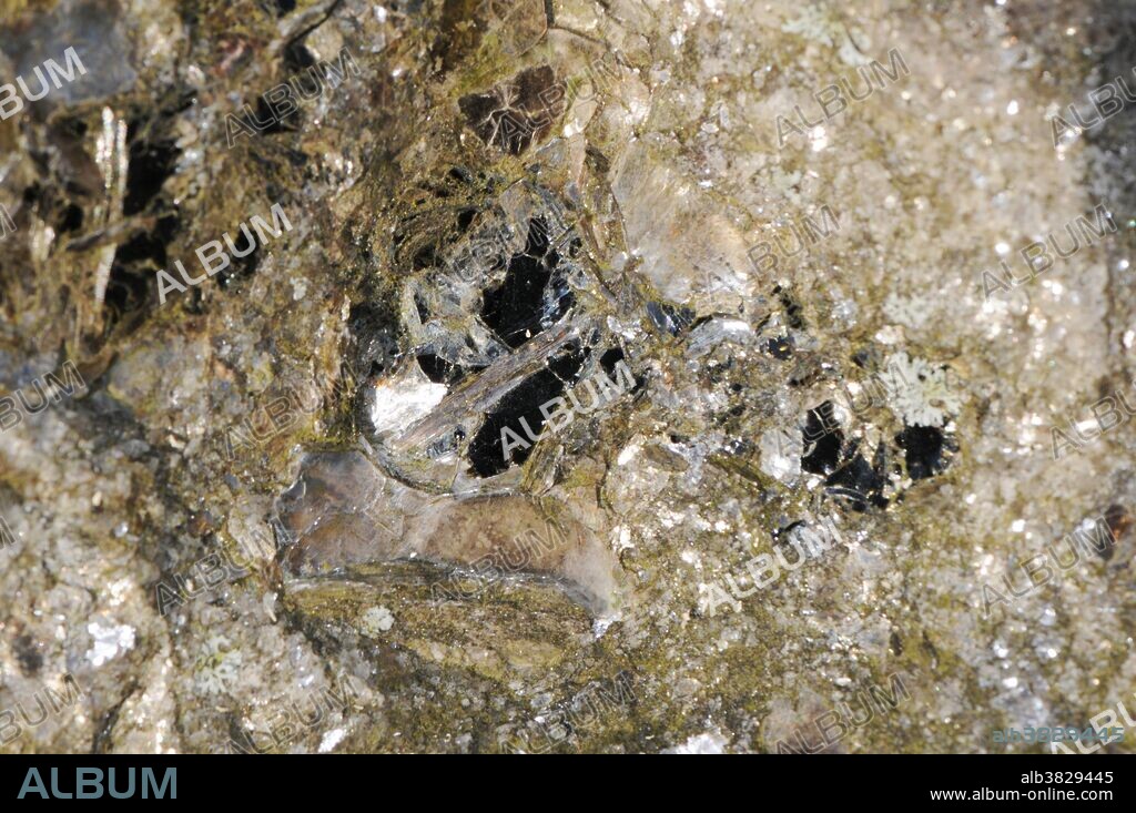 Biotite mica, a form of black mica commonly found in granite.