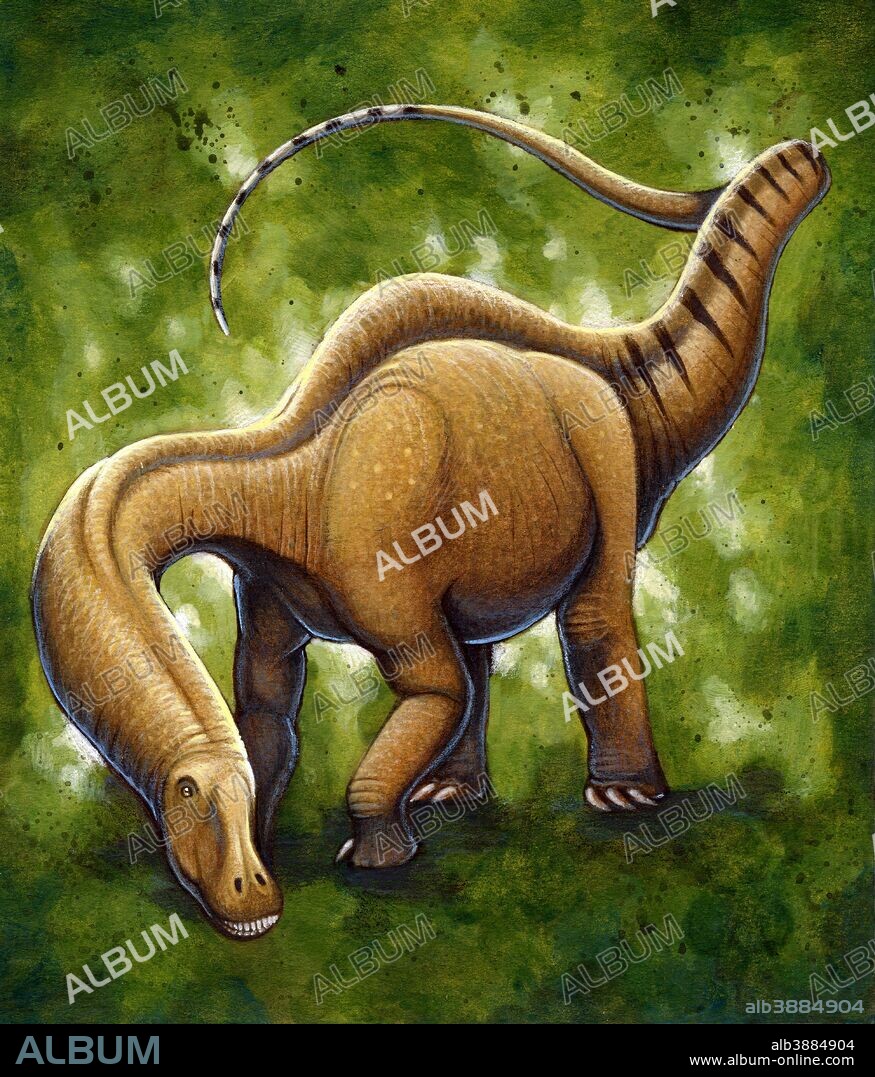 Apatosaurus, a sauropod dinosaur that lived during the Jurassic Period. Acrylics and colored pencil.