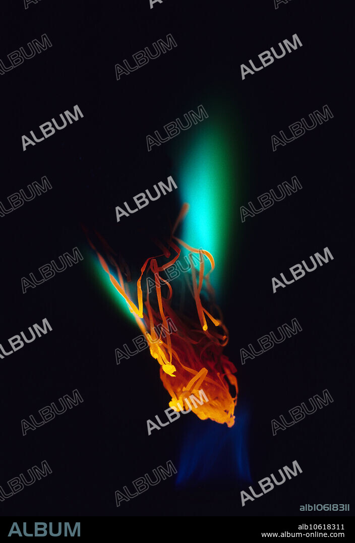 Steel Wool Burning over a Bunsen burner. Steel wool is made from tightly-bundled fine steel wire. Oxygen is the reactive component of the air, but its concentration (around 20%) is not high enough to fully support the combustion of steel. In pure oxygen, the reaction is vigorous and white-hot.