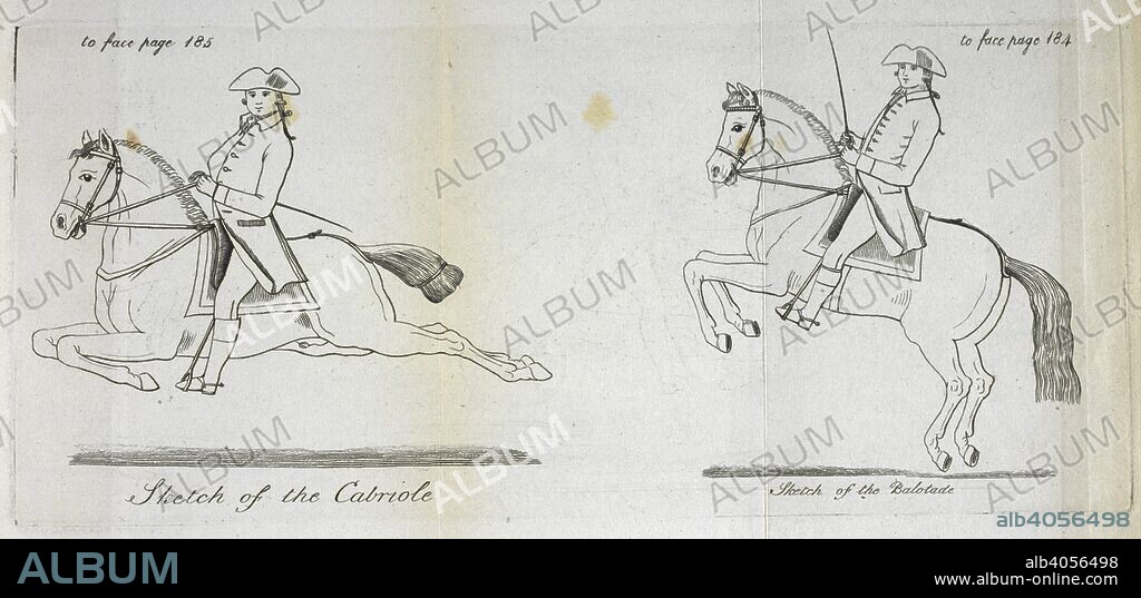 PHILIP ASTLEY. 'Sketch of the cabriole', and, 'sketch of the balotade'. Riding exercises. Astley's System of Equestrian Education, exhibiting the beauties and defects of the horse; with ... advice on its general excellence, preserving it in health, grooming &c. With plates [including a portrait.]. C. Creed: London, 1801. Source: 63.c.5 plate facong page 184-5.