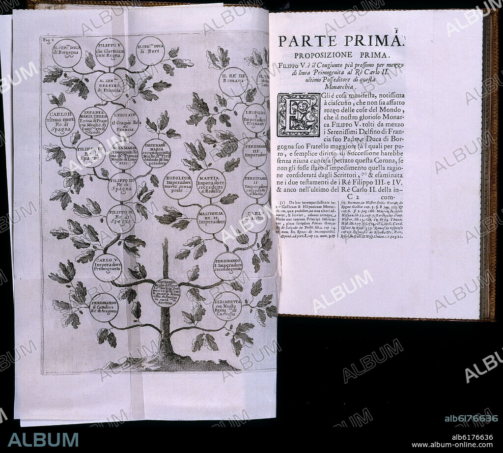FELIPE V MONARCA LEGITTIMO DELLE SPAGNE ...- 1704 - ARBOL GENEALOGICO.