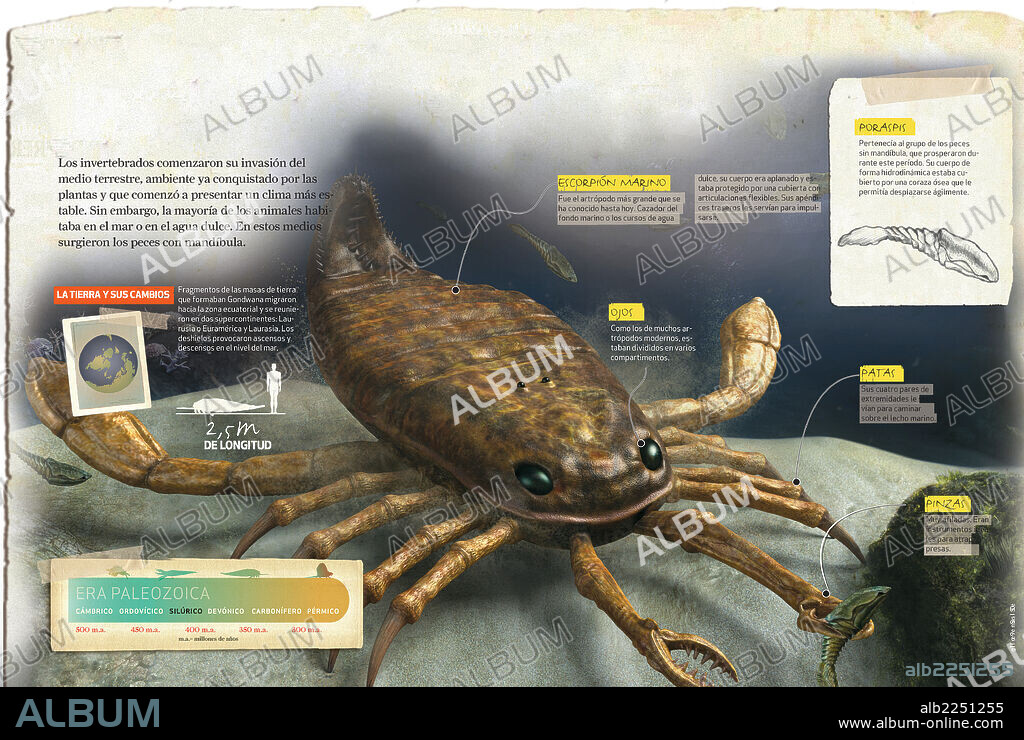 Período Siluriano. Infografía sobre el período Silúrico, de la era Paleozoica, durante el cuál los invertebrados empezaron la conquista del medio terrestre y aparecieron los peces sin mandíbula.