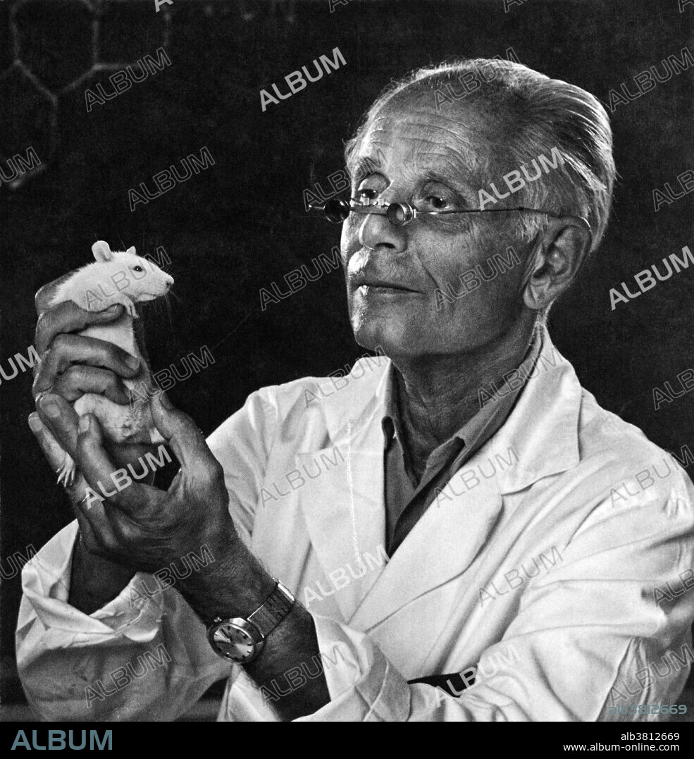 Editorial use only . Hans Hugo Bruno Selye (1907-1982) was a pioneering Hungarian endocrinologist. He became a Doctor of Medicine and Chemistry in Prague in 1929, went to Johns Hopkins University on a Rockefeller Foundation Scholarship in 1931 and then went to McGill University in Montreal where he began researching the issue of stress in 1936. He discovered and documented that stress differs from other physical responses in that it is does not matter if the stressor is good or bad, positive or negative, the response is the same. He coined the terms 'distress' and 'eustress' for negative and positive stress. He published 1,700 research papers, 15 monographs and 7 popular books before he died at age 75.