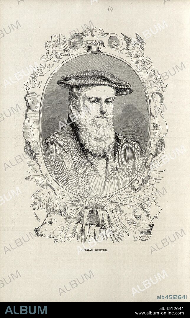 Conrad Gesner, Portrait of the Swiss physician and naturalist Conrad Gesner (Konrad Gessner), signed: Morin, Fig. 14, after p. 230, p. 274, Morin, M. E., 1868, Louis Figuier: Savants de la renaissance: Paracelse, Ramus, Jérome Cardan, Bernard Palissy, George Agricola, Conrad Gesner, Rondelet, André Vésale, Ambroise Paré, Kopernik, Tycho Brahé, Vasco de Gama, Magellan. Paris: librairie internationale, 1868.