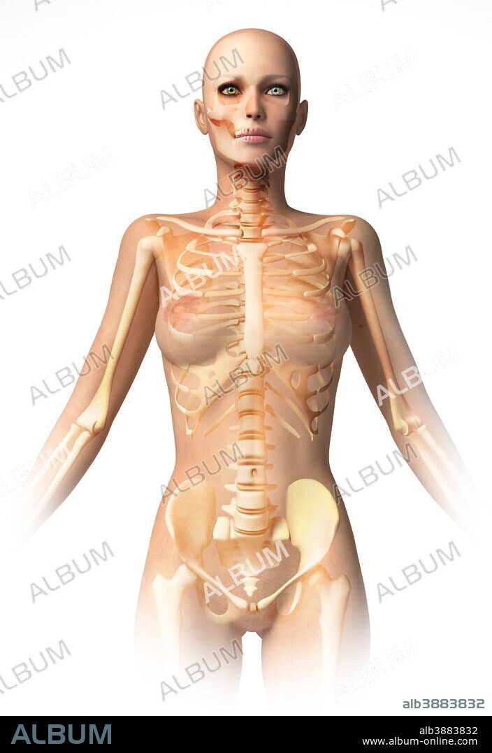Anatomy of female body with bone skeleton superimposed.