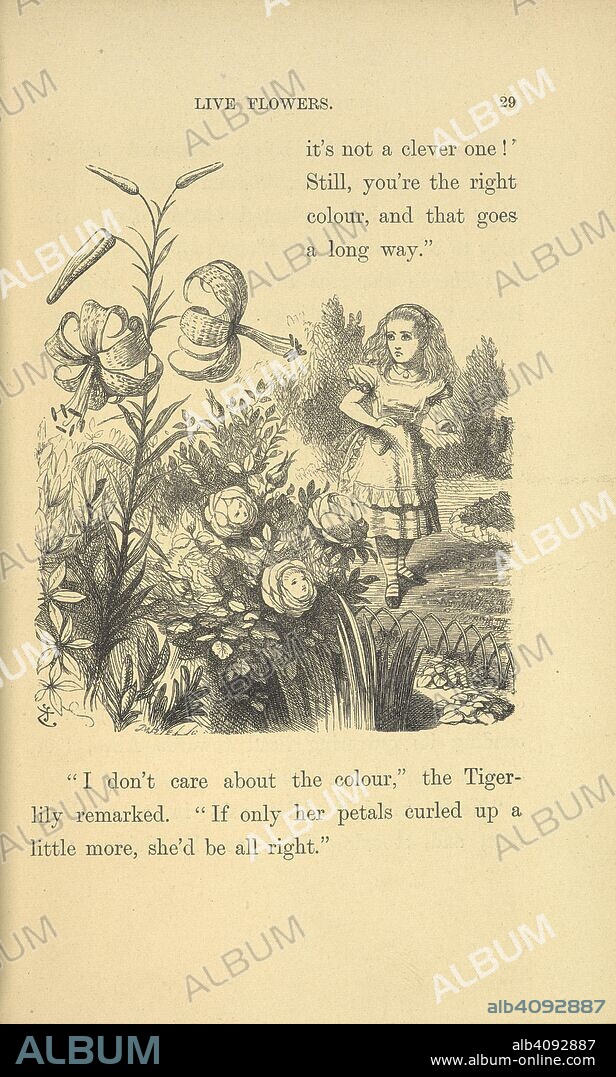 "I don't care about the colour," the Tiger-Lily remarked. Alice in the garden of live flowers. [Through the Looking-Glass, and what Alice found there ... With fifty illustrations by John Tenniel.]. London : Macmillan & Co., 1897. Source: 012808.eee.57 page 29.