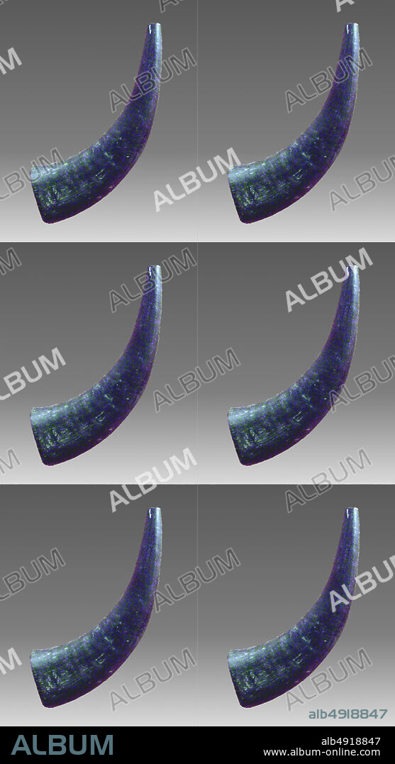 Horn, Burmese, late 19th century, Myanmar (formerly Burma), Burmese, Water buffalo horn, L. 10 1/2 × Diam. 3 in. (26.7 × 7.6 cm), Aerophone-Free Reed.