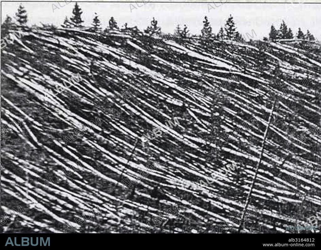 Photograph from the Tunguska event was a large explosion that occurred near the Stony Tunguska River, in what is now Krasnoyarsk Krai, Russia. Dated 1908.