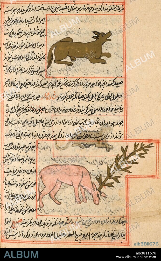 On the right is al-Qazwini's Sironsor or Shironse, a mythical creature that was able to make music by breathing through a number of holes in its body connected to its respiratory system. Below it is Shadehvar (Shadhahvar), known as a Persian antelope with a single hollow branched horn. The wind would blow through it like a flute, and the pleasant music attracted other animals. It is thought to be the same creature the Roman naturalist Pliny the Elder described as a Unicorn, with the head of a deer and body of a horse. The Kitab Aja'ib al-makhluqat wa Gharaib al-Mawjudat, usually known as "The Cosmography" or "The Wonders of Creation," was compiled in the 13th century in what is now Iran or Iraq and is considered one of the most important natural history texts of the medieval Islamic world. The author Abu Yahya Zakariya ibn Muhammad ibn Mahmud-al-Qazwini (1203-1283), known simply as al-Qazwini, was one of the most noted natural historians, geographers and encyclopedists of the period. At the very end, the scribe has written a colophon praising Allah again and stating that he finished copying this manuscript in 1537.