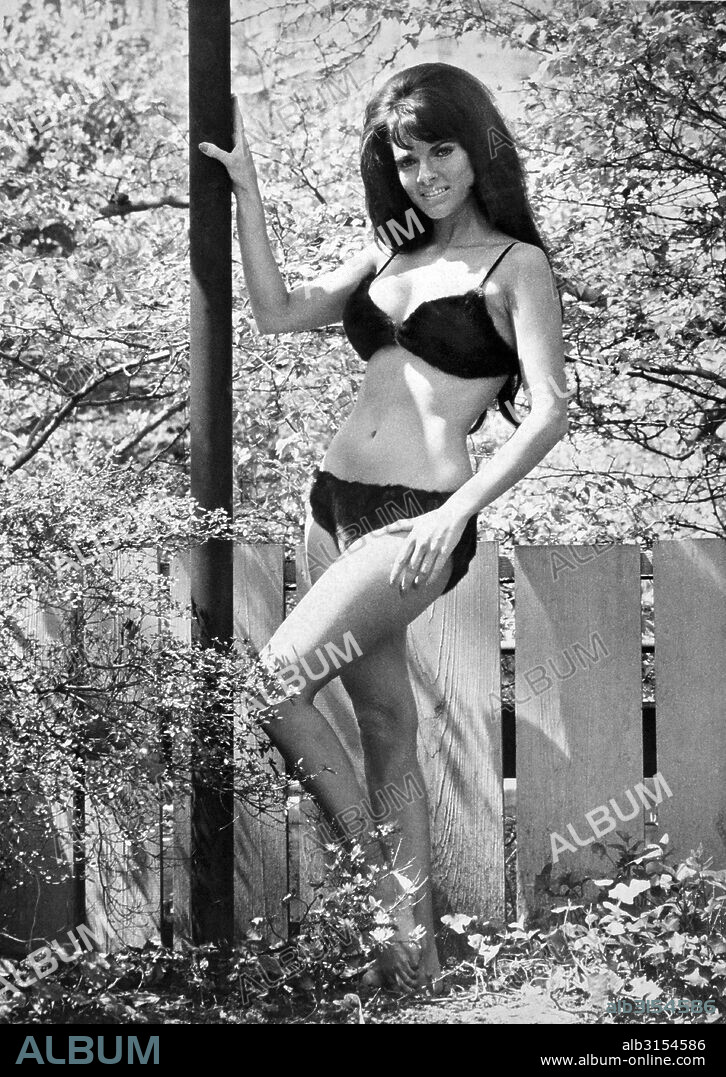 New York, New York:  May 12, 1972. Sharon Harvey (Miss Tanya SunTan Lotion) sunning herself in NY's Central Park in a $2000 black diamond mink bikini.