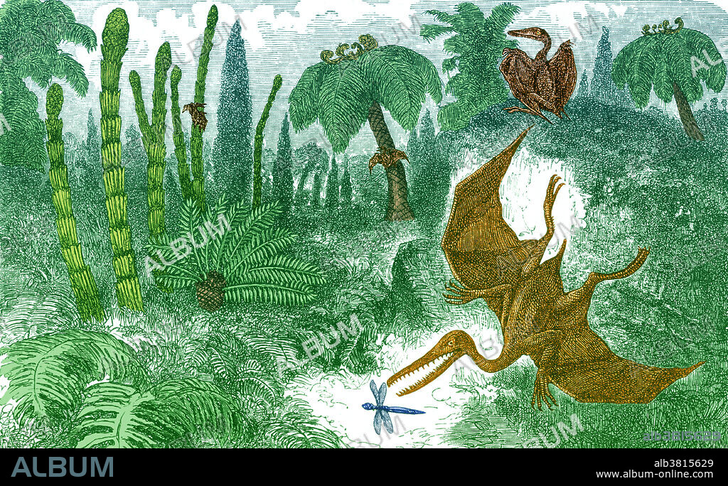 Jurassic Landscape