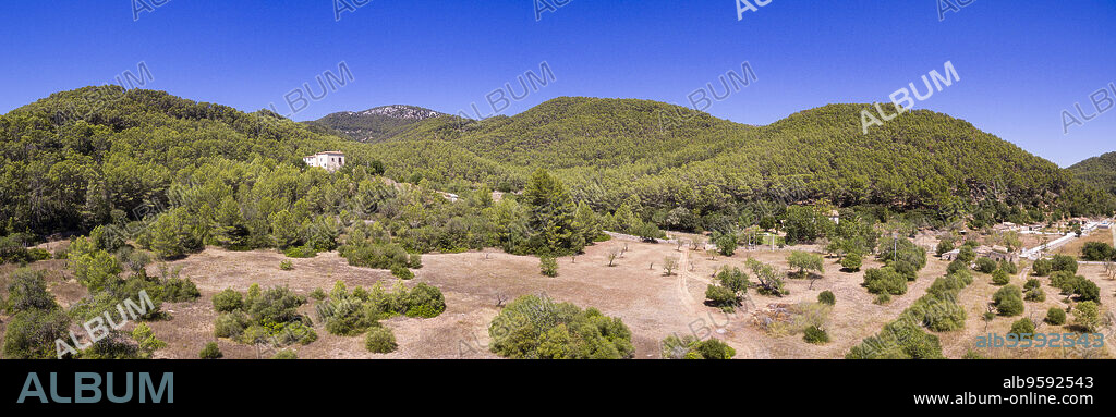 pinar de Canet, Esporles, sierra de Tramuntana, Mallorca, balearic islands, spain, europe.