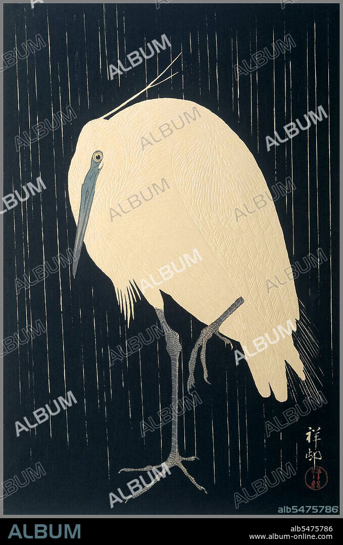 The full title of this beautiful ink-on-paper woodcut is 'Little Egret, Standing on One Leg in the Rain at Night'. Originally from Kanazawa, Ohara Matao (1877-1945) studied in Tokyo in the 1890s under the artist Suzuki Koson. Matao later adopted his teacher's surname (a Japanese sign of graduation) and began specializing in woodcuts, most of his subjects chosen from nature. He particularly loved birds, and he designed over 450 wood-carved prints of various birds. Koson changed his name after 1910 to Shoson, and later to Hoson.