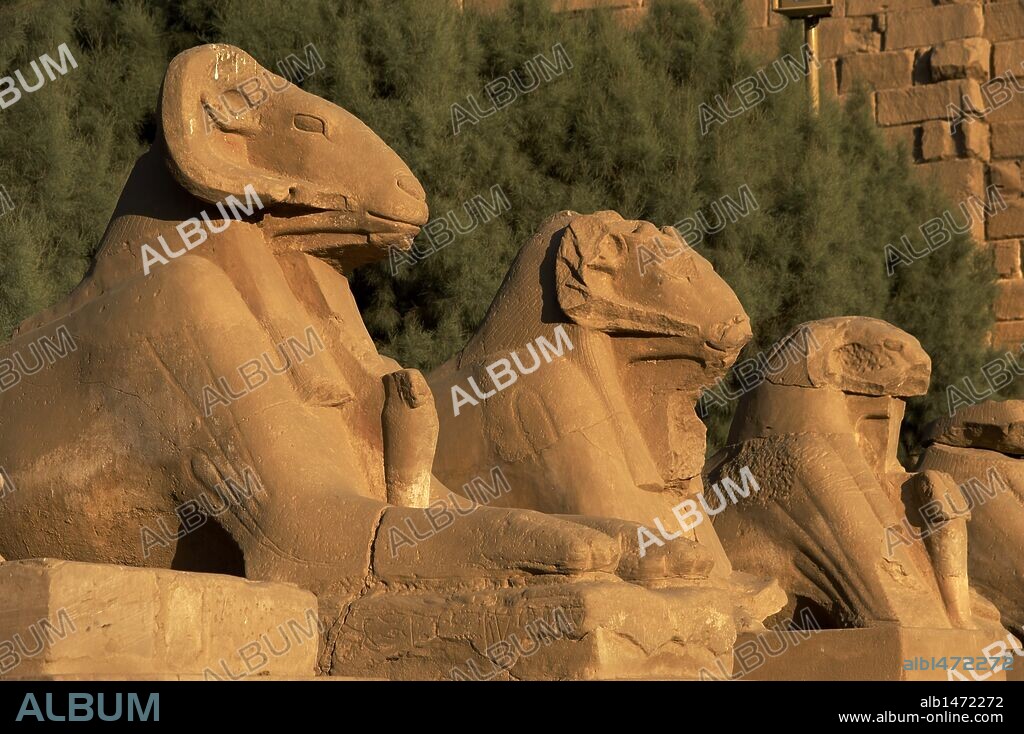 ARTE EGIPCIO. EGIPTO. TEMPLO DE KARNAK. AVENIDA DE LAS ESFINGES, con cabeza de CARNERO (símbolo del dios AMON). Construída durante el reinado de Ramses II. Dinastía XIX. Imperio Nuevo. Alrededores de Luxor (antigua Tebas "Waset").