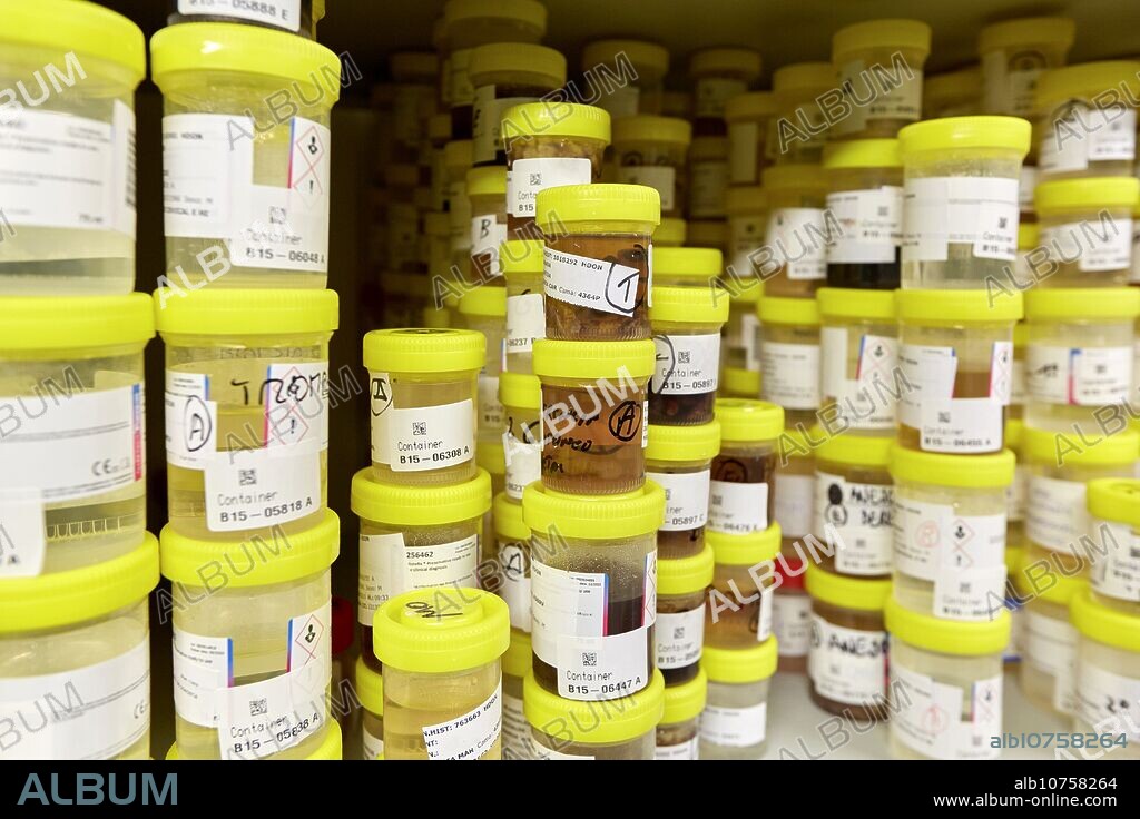 Sample storage, Anatomic Pathology, Hospital Donostia, San Sebastian, Gipuzkoa, Basque Country, Spain.