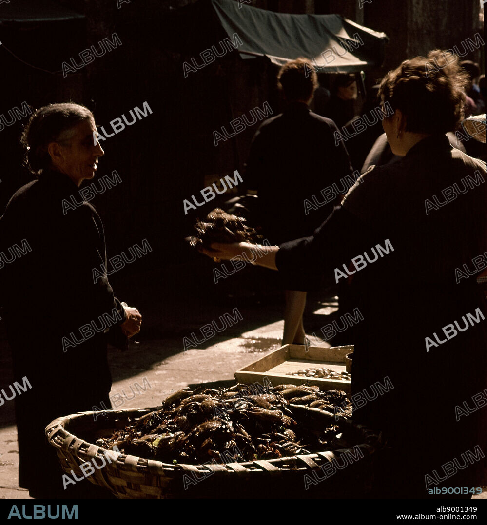 VENDEDORA DE MARISCOS VENDIENDO NECORAS - FOTO AÑOS 60.
