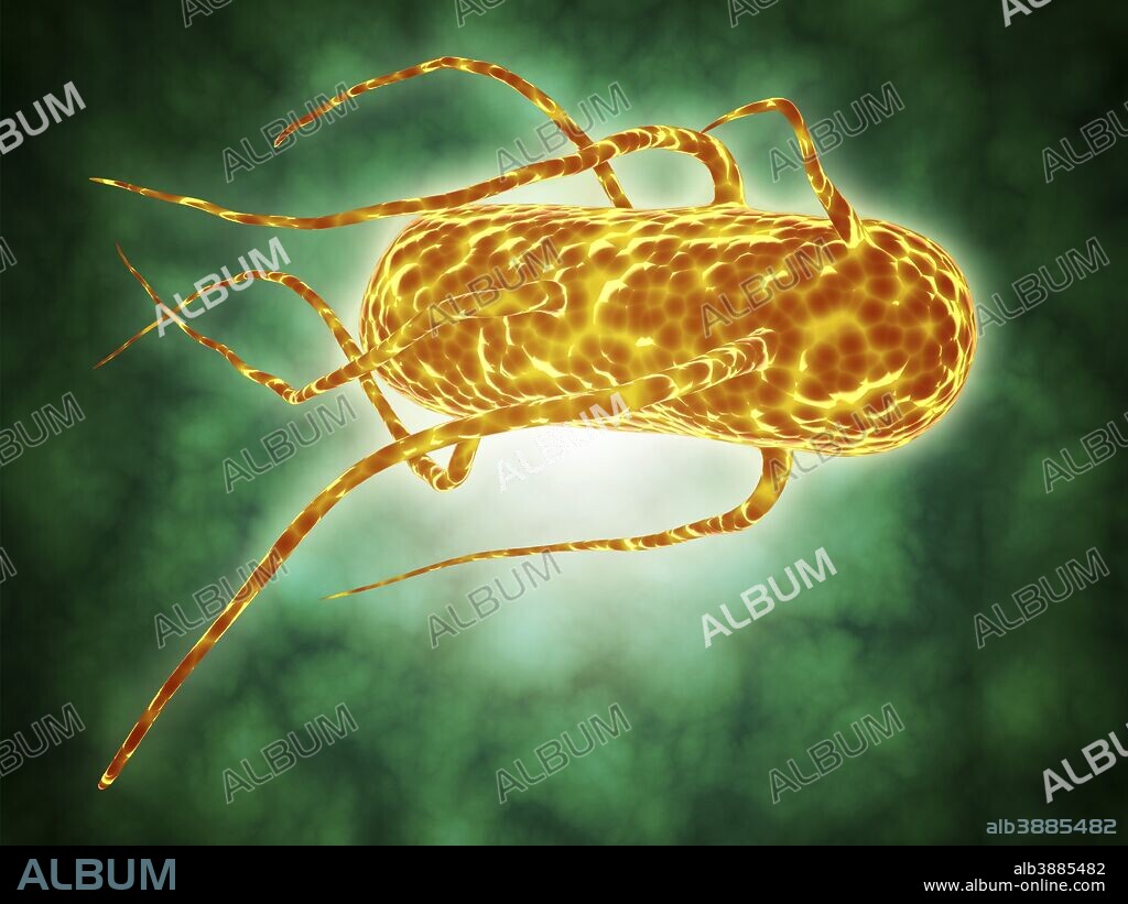 Conceptual image of salmonella. Salmonella is a genus of rod-shaped, gram-negative bacteria. There are two main species of Salmonella, Salmonella bongori and Salmonella enterica.
