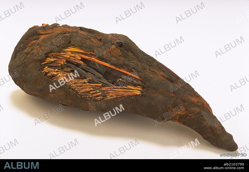 MOMIA DE IBIS. EGIPCIO. (DEPOSITO: MUSEO ARQUEOLOGICO NACIONAL).