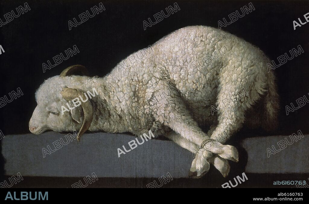 FRANCISCO DE ZURBARAN. AGNUS DEI O CORDERO DE DIOS - 1635-1640 - OLEO/LIENZO - 37,3 x 62 cm - NP 7293 - BARROCO ESPAÑOL.