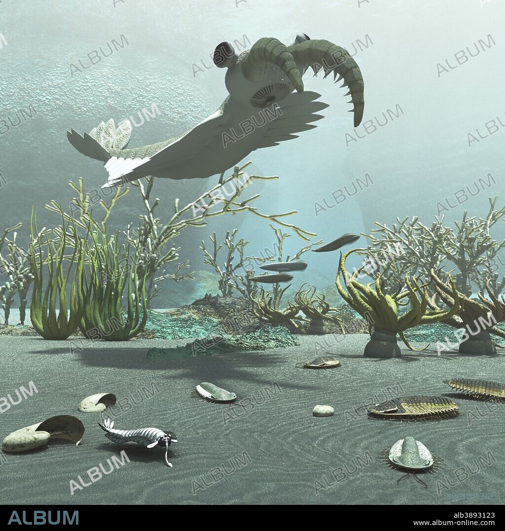 Animals and floral life from the Cambrian period about 500 million years ago from the Burgess Shale formation in Canada. Visible are Anomalocaris, Opabinia, trilobites, stromatolites, and anemones.
