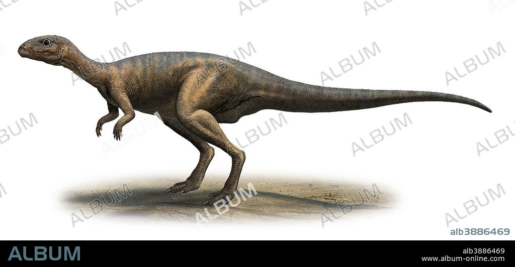 Dryosaurus altus, prehistoric era dinosaur from the Late Jurassic period.