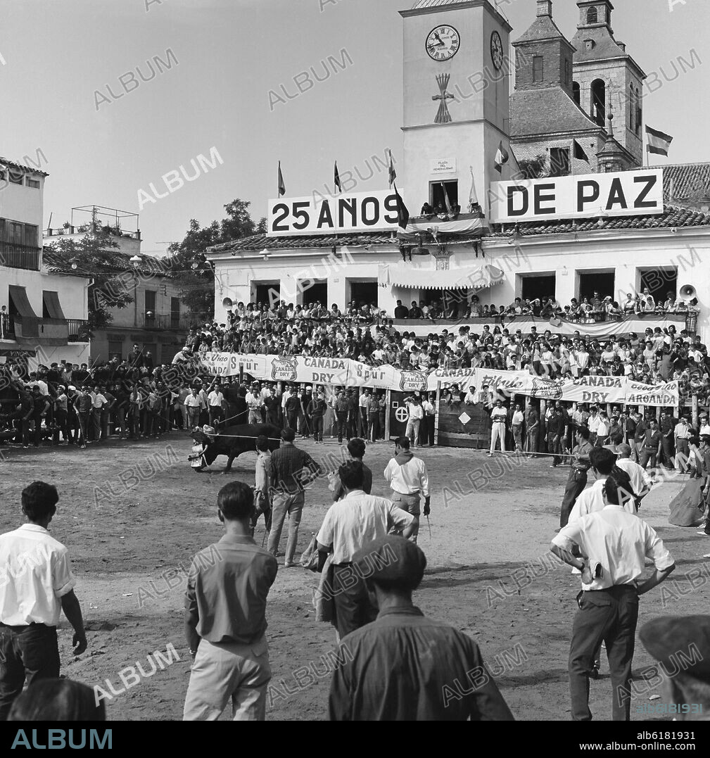 ENCIERRO EN ARGANDA DEL REY - NOVILLO EN LA PLAZA DEL PUEBLO - 1964 - ByN 41361.