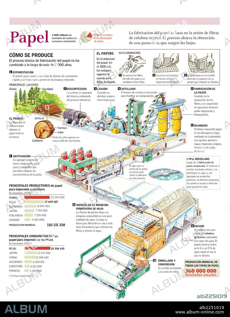 PAPER. Infographics of the process of making paper from wood and production data and world paper consumption.