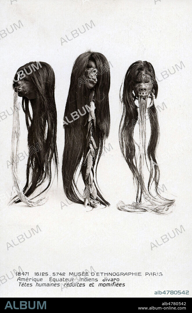 'Musee d'ethnographie, Paris. Indiens Jivaro : tetes humaines reduites et momifiees'. Photographie anonyme pour une carte postale vers 1920. Credit : Collection IM/KHARBINE-TAPABOR.