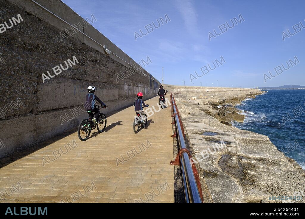 dique del oeste, Puerto de Palma de Mallorca, Mallorca, balearic islands, spain, europe.