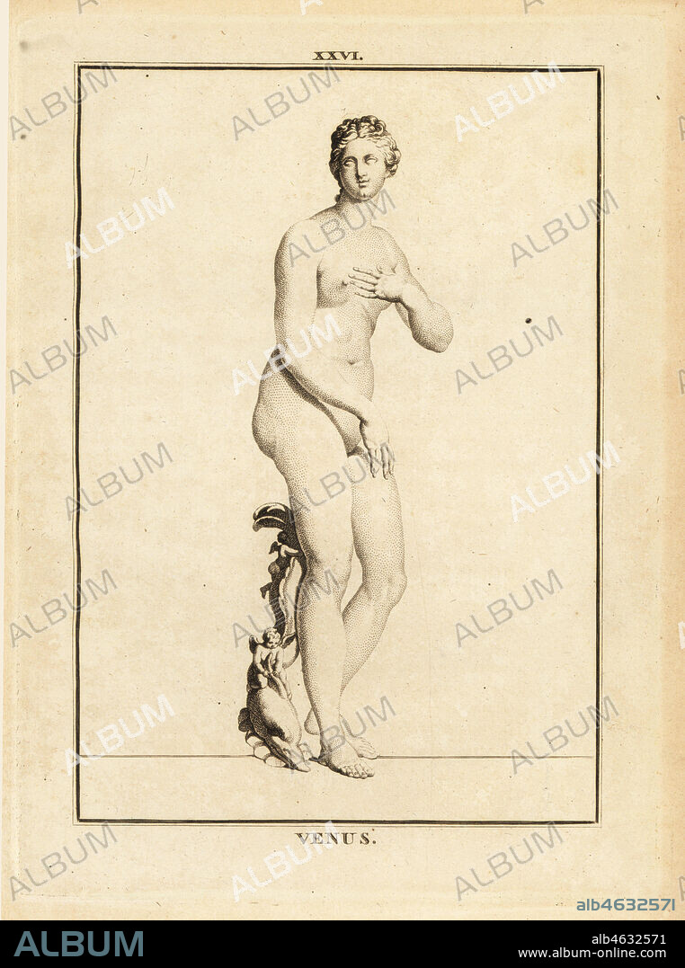 Statue of Venus, Roman goddess of love, beauty, sex and fertility. Copperplate engraving by Francois-Anne David from Museum de Florence, ou Collection des Pierres Gravees, Statues, Medailles, Chez F.A. David, Paris, 1787. David (1741-1824) drew and engraved the illustrations based on Roman statues, engraved stones and medals in the collection of the Museum de Florence and the cabinet of curiosities of the Grand Duke of Tuscany.