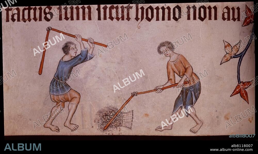 Buchmalerei, England, um 1340. Korndreschen mit Dreschflegeln. Aus dem Luttrell-Psalter, geschrieben für Sir Geoffrey Luttrell of Irnham. Add. Ms. 42130, fol. 74 v, London, British Library.