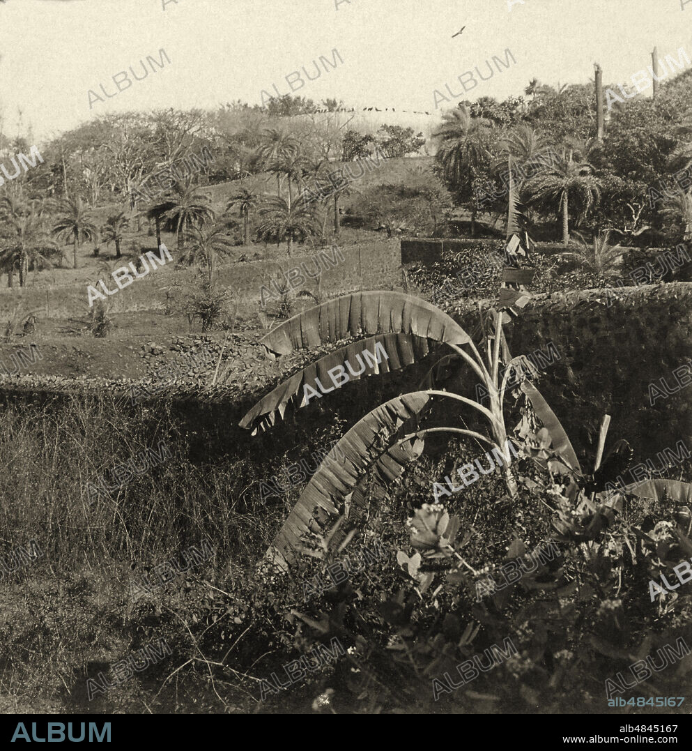 Tower of Silence, vultures devour the Parsi dead, Malabar Hill, Victorian stereoview card circa 1900; Bombay, India.