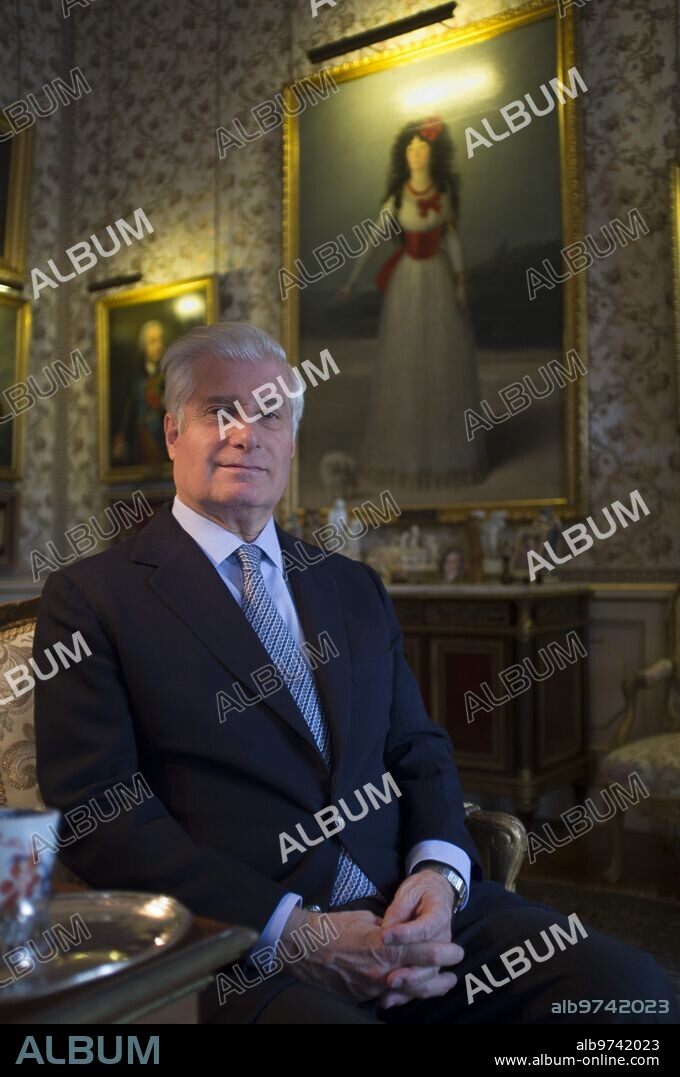 Carlos Fitz-James Stuart and Martinez de Irujo; Duke of Huescar in the Goya room, after the "Portrait of the Duchess of Alba" by Goya Palacio de Liria; Madrid 07/11/2012 Photo Matias Nieto ARCHDC.