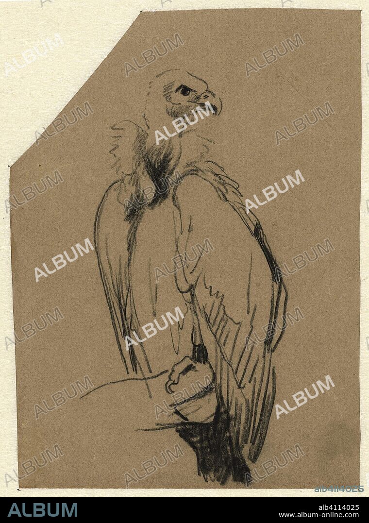 Cow giraffe. Draughtsman: Guillaume Anne van der Brugghen. Dating: 1821 - 1891. Measurements: h 154 mm × w 110 mm.