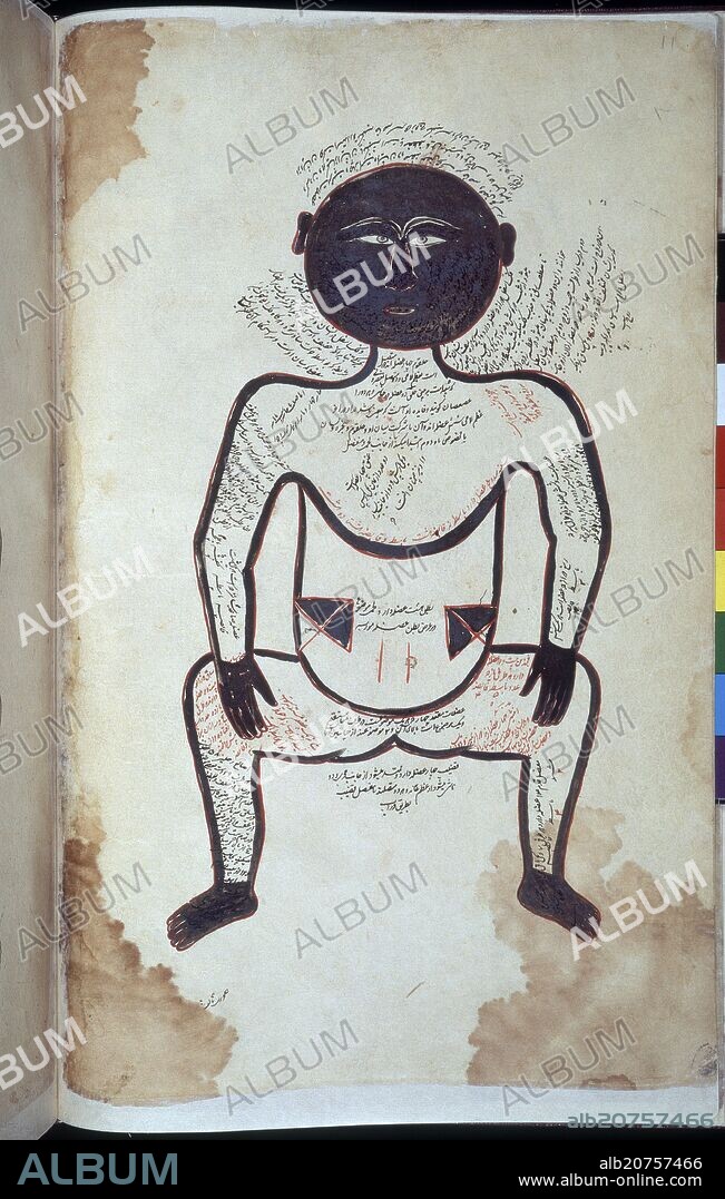 MANSUR IBN ILYAS (SIGLO XIV-SIGLO XV). MANUSCRITO ARABE 2296 - DIAGRAMA ANATOMICO DE HOMBRE NEGRO F11- S XIII.