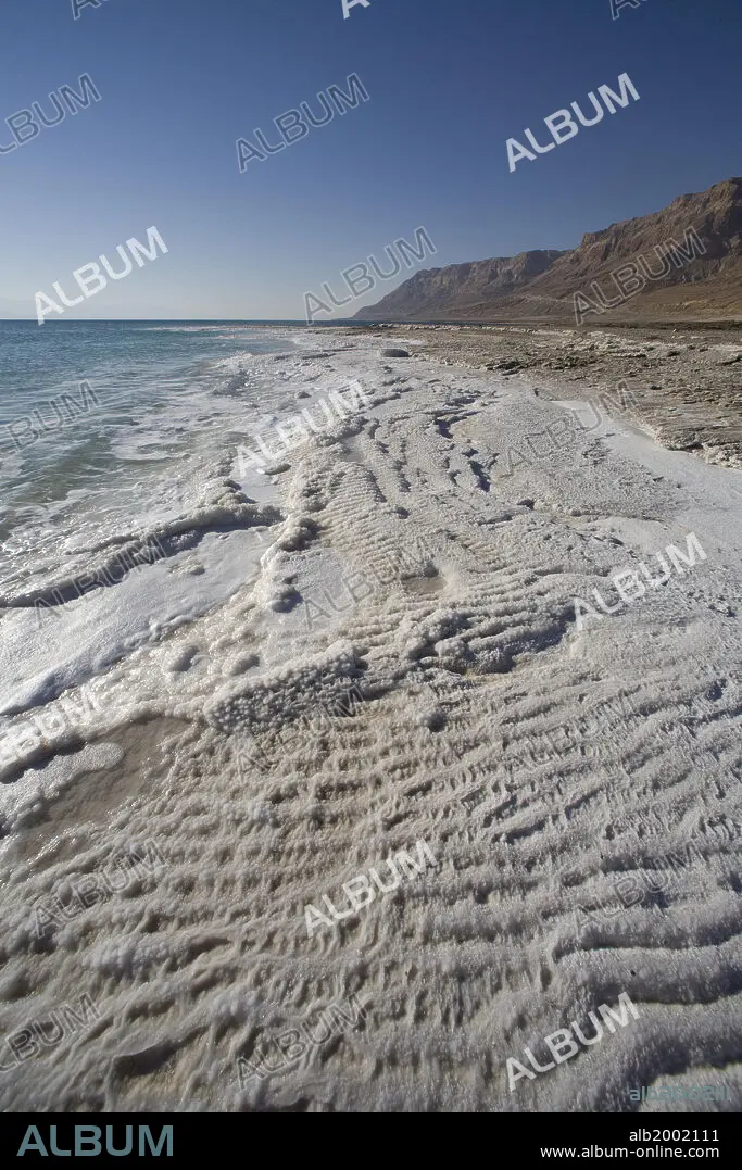 album_alb2002111.webp