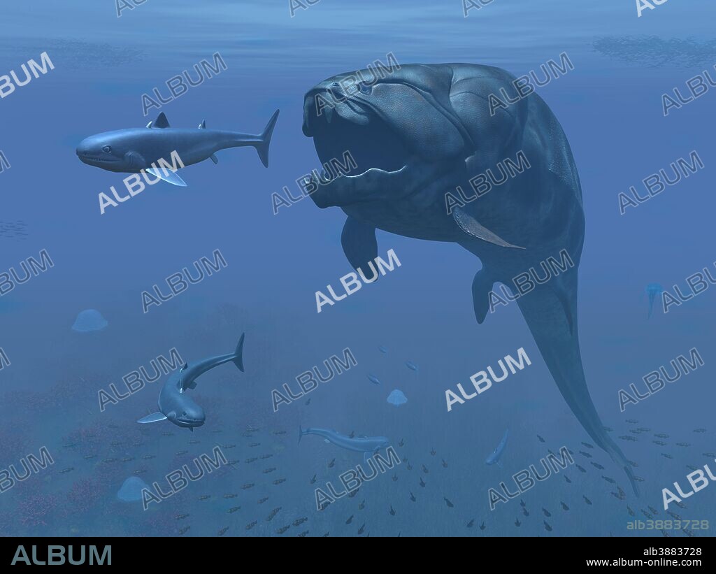 A 30-foot-long, four-ton hypercarnivorous apex predator of the species Dunkleosteus terrellix is about to make a meal of a six-foot-long primitive shark of the genus Cladoselache 370 million years ago in the Rheic Ocean near what is today North America. Dunkleosteus terrellix was one of the largest arthrodire placoderms ever to have lived. Nearly as long as a school bus, It was heavily armored and therefore likely a relatively slow, but powerful swimmer.. . There are four Cladoselache/primitive sharks in this image. The schooling fish are generic representatives of the class Actinopterygii, a sub-class of the bony fishes which emerged about 420 million years ago, while the sea jellies are generic representatives of the subphylum Medusozoa.