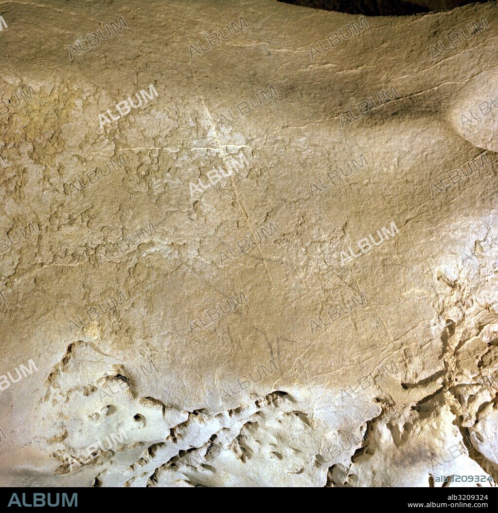 CUEVA DE EKAIN. GALERIA DE ZALDEI O DE LOS CABALLOS: CABALLO?  DEVA, GUIPUZCOA, PAIS VASCO, ESPAÑA.
