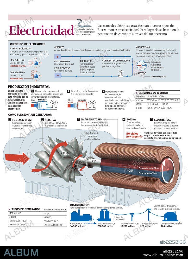 ELECTRICITY. Infographics of the electricity generation in power plants using magnetism and the operation of an electric generator.