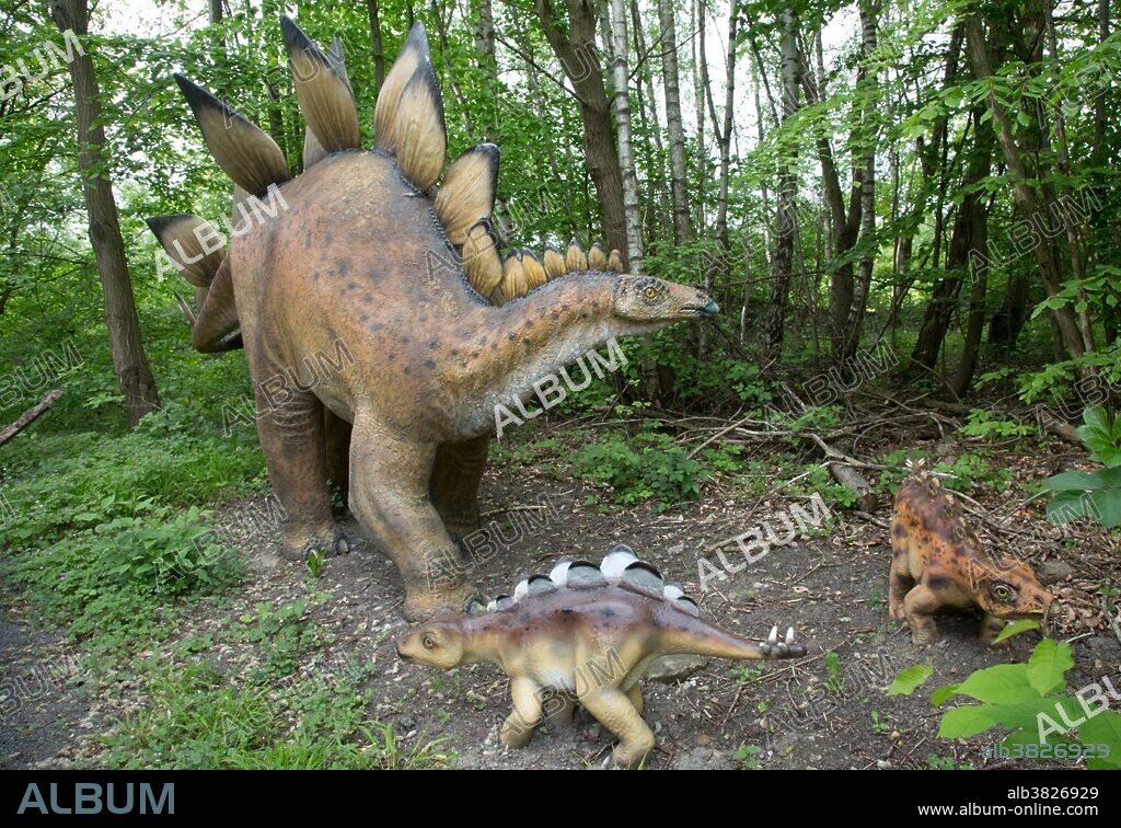 Stegosaurus, a large Jurassic Period herbivorous dinosaur, with baby stegosaurus in Dinosaurier Park, Germany.