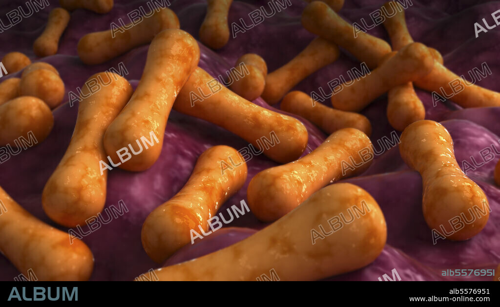 Conceptual biomedical illustration of Corynebacterium tenuis bacteria.