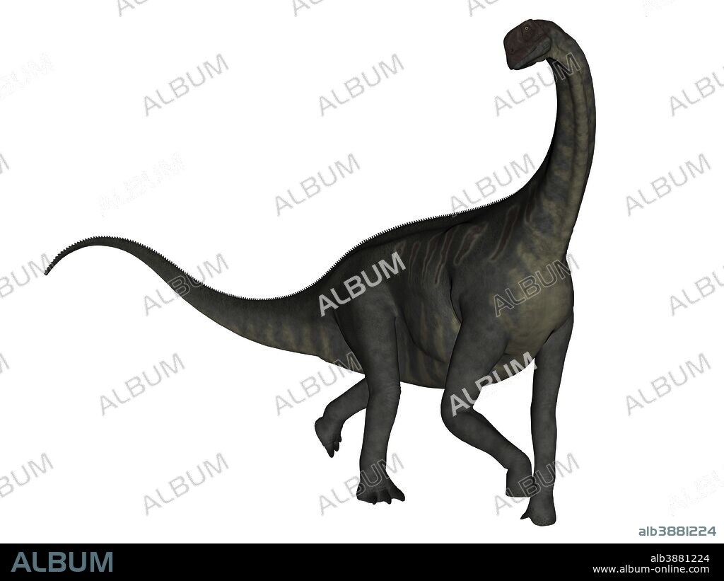 Jobaria dinosaur on white background.