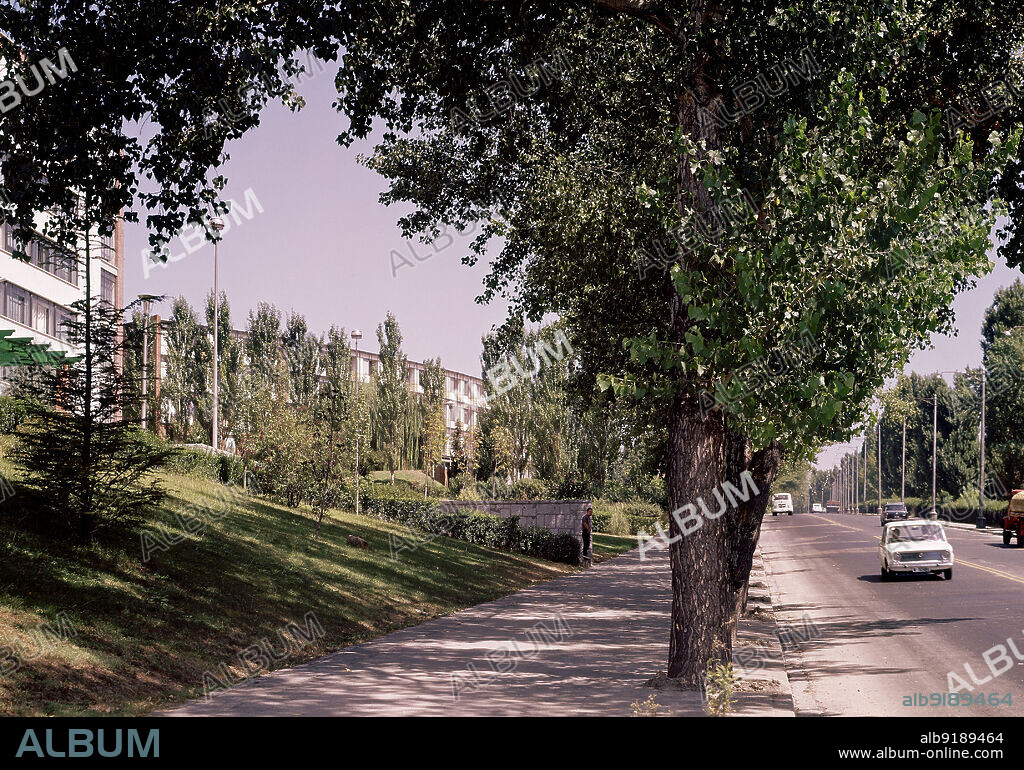AVENIDA DE SENECA - CIUDAD UNIVERSITARIA DE MADRID - FOTO AÑOS 60.