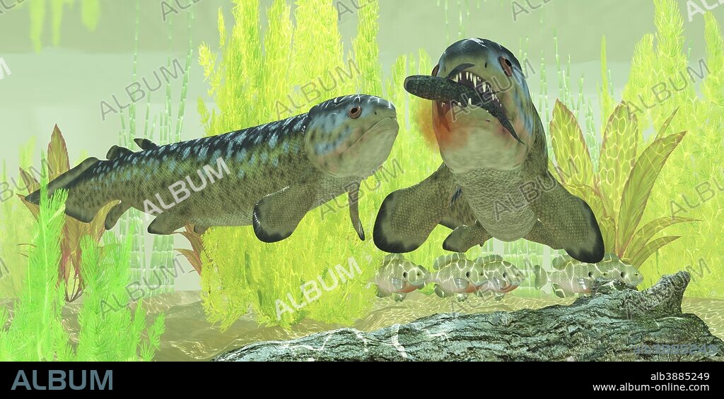 Rhizodus hibberti, an extinct group of Carboniferous predatory lobe-finned fish.