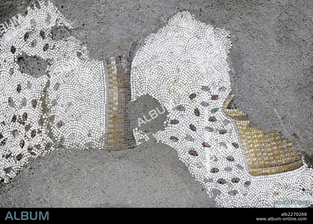 Great Palace of Constantinople (East Roman period). Detail of one of the mosaics that decorated the pavements. Plum tree. 4th-6th century. Great Palace Mosaics Museum. Istanbul, Turkey.
